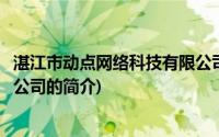 湛江市动点网络科技有限公司(关于湛江市动点网络科技有限公司的简介)