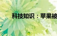 科技知识：苹果被删除的短信怎么看