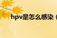 hpv是怎么感染（HPV是怎么感染的）