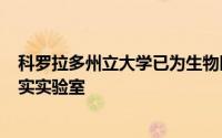 科罗拉多州立大学已为生物医学教育部署了100耳机虚拟现实实验室