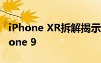 iPhone XR拆解揭示您基本上可以称其为iPhone 9