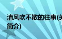 清风吹不散的往事(关于清风吹不散的往事的简介)