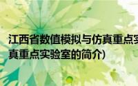 江西省数值模拟与仿真重点实验室(关于江西省数值模拟与仿真重点实验室的简介)