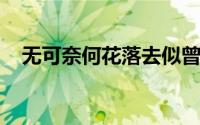 无可奈何花落去似曾相识燕归来赏析角度