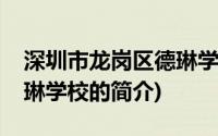 深圳市龙岗区德琳学校(关于深圳市龙岗区德琳学校的简介)