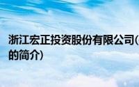 浙江宏正投资股份有限公司(关于浙江宏正投资股份有限公司的简介)