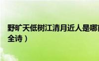 野旷天低树江清月近人是哪首古诗（野旷天低树江清月近人全诗）