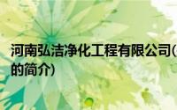 河南弘洁净化工程有限公司(关于河南弘洁净化工程有限公司的简介)