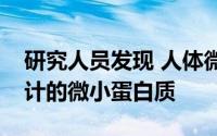 研究人员发现 人体微生物组可以产生数以千计的微小蛋白质