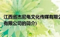 江西省杰尼龟文化传媒有限公司(关于江西省杰尼龟文化传媒有限公司的简介)