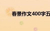 春景作文400字五年级（春景作文）