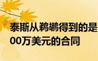 泰斯从鹈鹕得到的是一份为期一年总金额约300万美元的合同