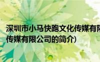 深圳市小马快跑文化传媒有限公司(关于深圳市小马快跑文化传媒有限公司的简介)