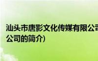 汕头市唐影文化传媒有限公司(关于汕头市唐影文化传媒有限公司的简介)