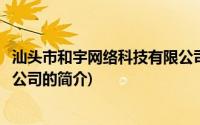 汕头市和宇网络科技有限公司(关于汕头市和宇网络科技有限公司的简介)