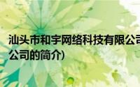 汕头市和宇网络科技有限公司(关于汕头市和宇网络科技有限公司的简介)