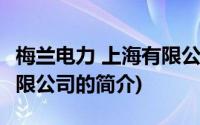 梅兰电力 上海有限公司(关于梅兰电力 上海有限公司的简介)