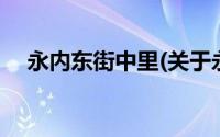 永内东街中里(关于永内东街中里的简介)