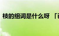 枝的组词是什么呀 「已解答」枝组词有哪些