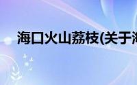 海口火山荔枝(关于海口火山荔枝的简介)