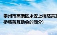 泰州市高港区永安上桥慈善互助会(关于泰州市高港区永安上桥慈善互助会的简介)