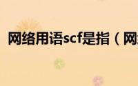 网络用语scf是指（网络用语sc是什么意思）