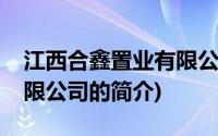 江西合鑫置业有限公司(关于江西合鑫置业有限公司的简介)