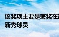 该奖项主要是褒奖在过去一年中有突出表现的新秀球员