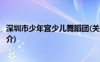 深圳市少年宫少儿舞蹈团(关于深圳市少年宫少儿舞蹈团的简介)