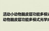 活动小动物脑皮层功能多模式光学成像方法研究(关于活动小动物脑皮层功能多模式光学成像方法研究的简介)