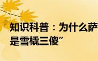 知识科普：为什么萨摩耶犬 阿拉斯加 哈士奇是雪橇三傻”