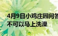 4月9日小鸡庄园问答：一般情况下运动后可不可以马上洗澡