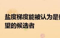 盐度梯度能被认为是替代传统化石燃料的有希望的候选者