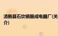 清新县石坎镇振成电器厂(关于清新县石坎镇振成电器厂的简介)