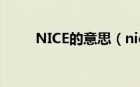 NICE的意思（nice的意思是什么）