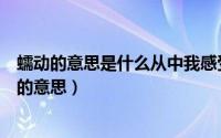 蠕动的意思是什么从中我感受到了卢嘉川的身体什么（蠕动的意思）