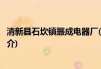 清新县石坎镇振成电器厂(关于清新县石坎镇振成电器厂的简介)