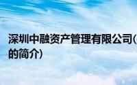 深圳中融资产管理有限公司(关于深圳中融资产管理有限公司的简介)