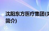 沈阳东方医疗集团(关于沈阳东方医疗集团的简介)