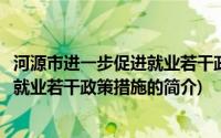 河源市进一步促进就业若干政策措施(关于河源市进一步促进就业若干政策措施的简介)