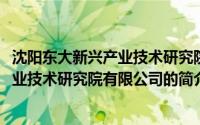 沈阳东大新兴产业技术研究院有限公司(关于沈阳东大新兴产业技术研究院有限公司的简介)