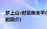 梦上山·时足疾未平(关于梦上山·时足疾未平的简介)