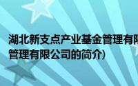 湖北新支点产业基金管理有限公司(关于湖北新支点产业基金管理有限公司的简介)