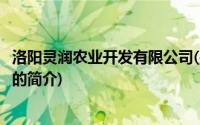 洛阳灵润农业开发有限公司(关于洛阳灵润农业开发有限公司的简介)