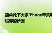 简单教下大家iPhone苹果手机如何清除第三方应用程序的缓存的步骤