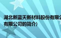 湖北新蓝天新材料股份有限公司(关于湖北新蓝天新材料股份有限公司的简介)