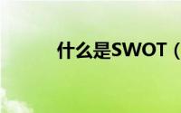 什么是SWOT（SWOT的解释）