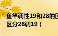 鱼竿调性19和28的区别（鱼竿调性和硬度的区分28调19）