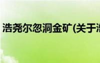 浩尧尔忽洞金矿(关于浩尧尔忽洞金矿的简介)