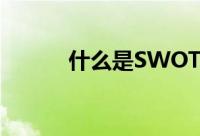 什么是SWOT（SWOT的解释）